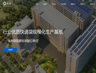 天元股份集团